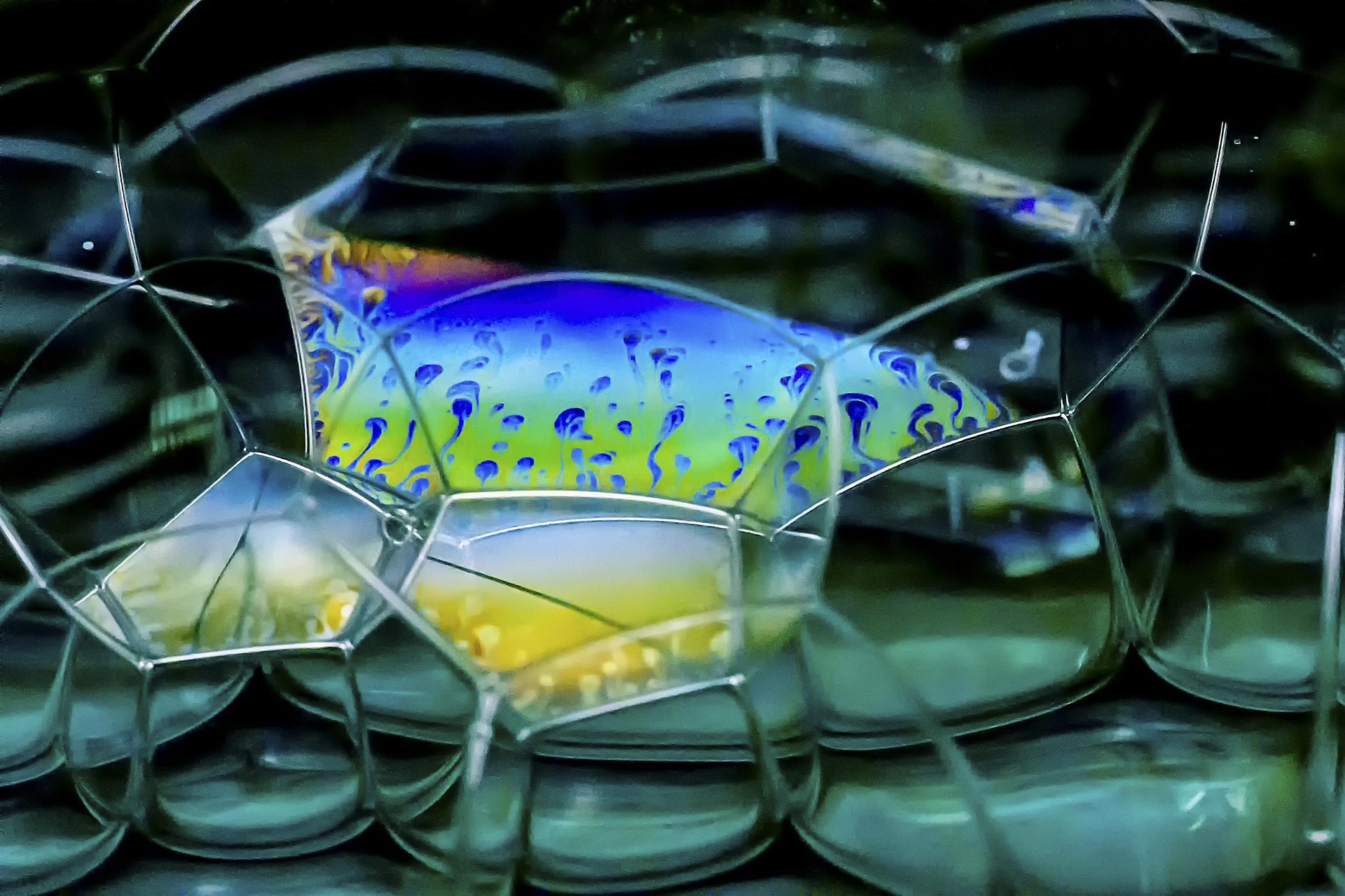 My Unfiltered experience with Racism – From Every Corner